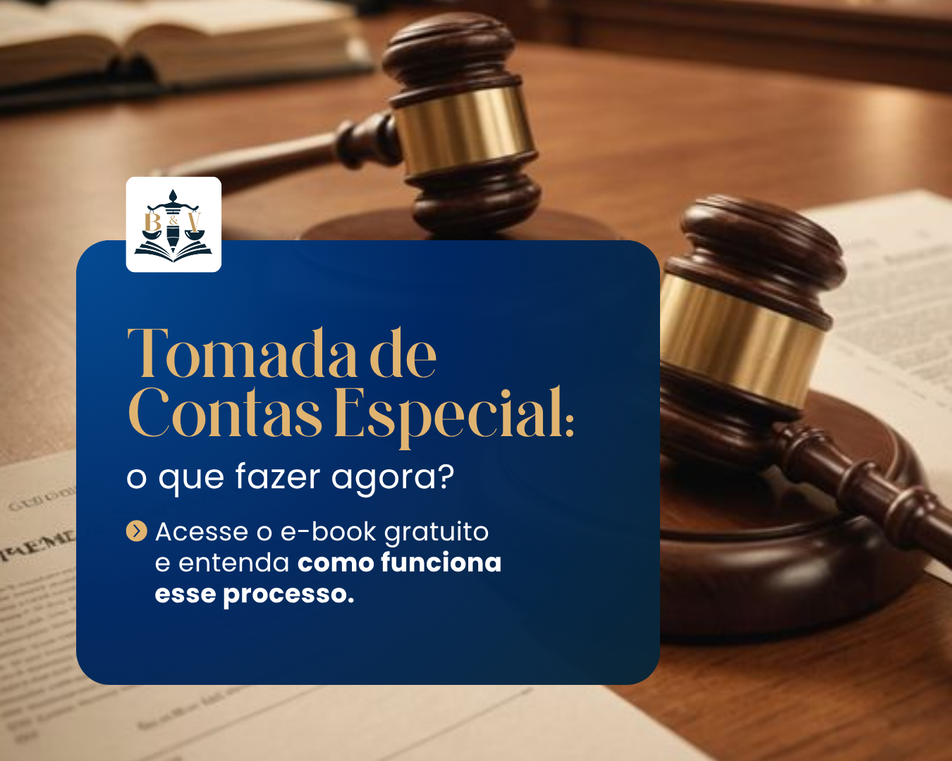 Tomada de Contas Especial: o que fazer agora? Acesse o e-book gratuito.